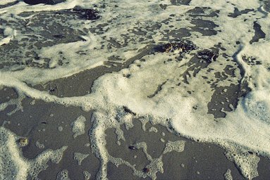フィルム: Kodak Ektachrome P1600 · Lomography
