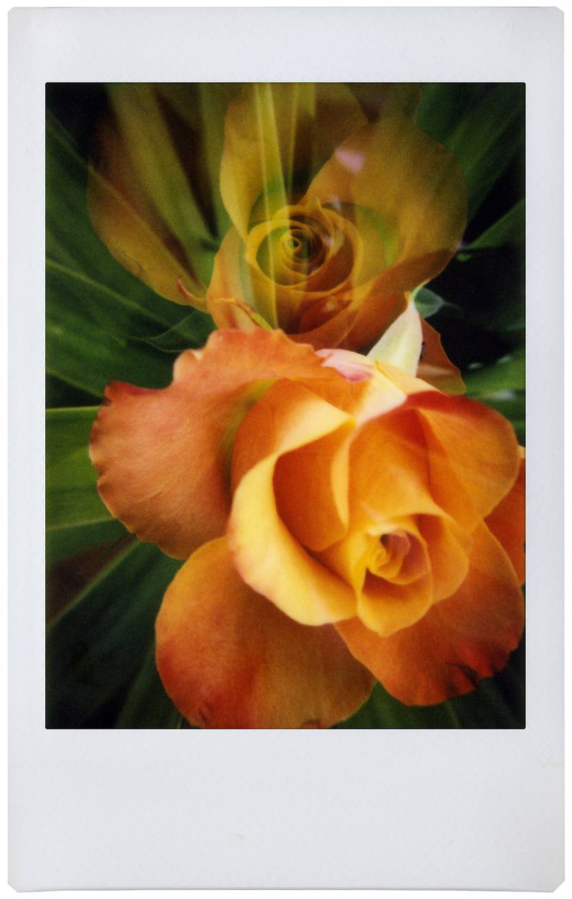 由 Luna Simoncini 以 Lomo’Instant Automat Glass 及 @a9384c83 以  Lomo’Instant Square Glass 拍摄