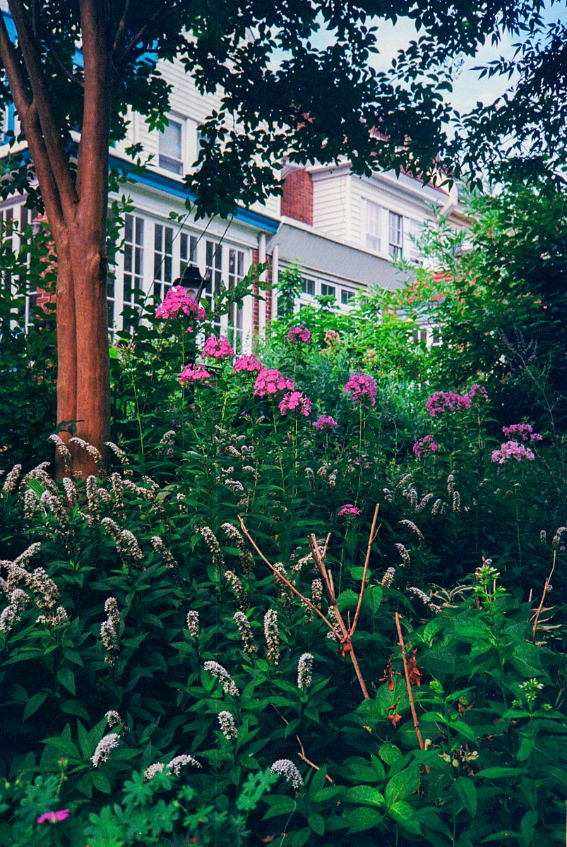 カメラ: Olympus 35RC · Lomography
