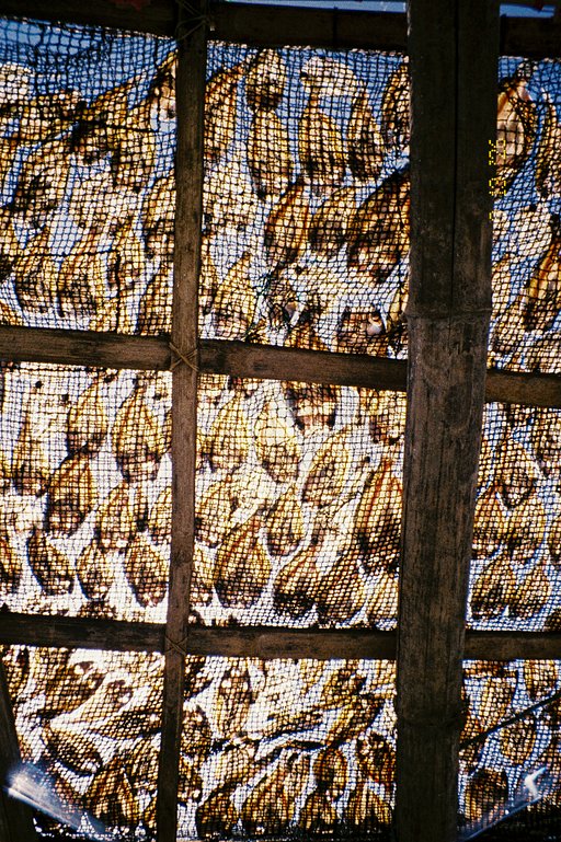Fishing and Salt-Making: Edward Apostol Captures Pamarawan's Heritage on LomoChrome Color '92