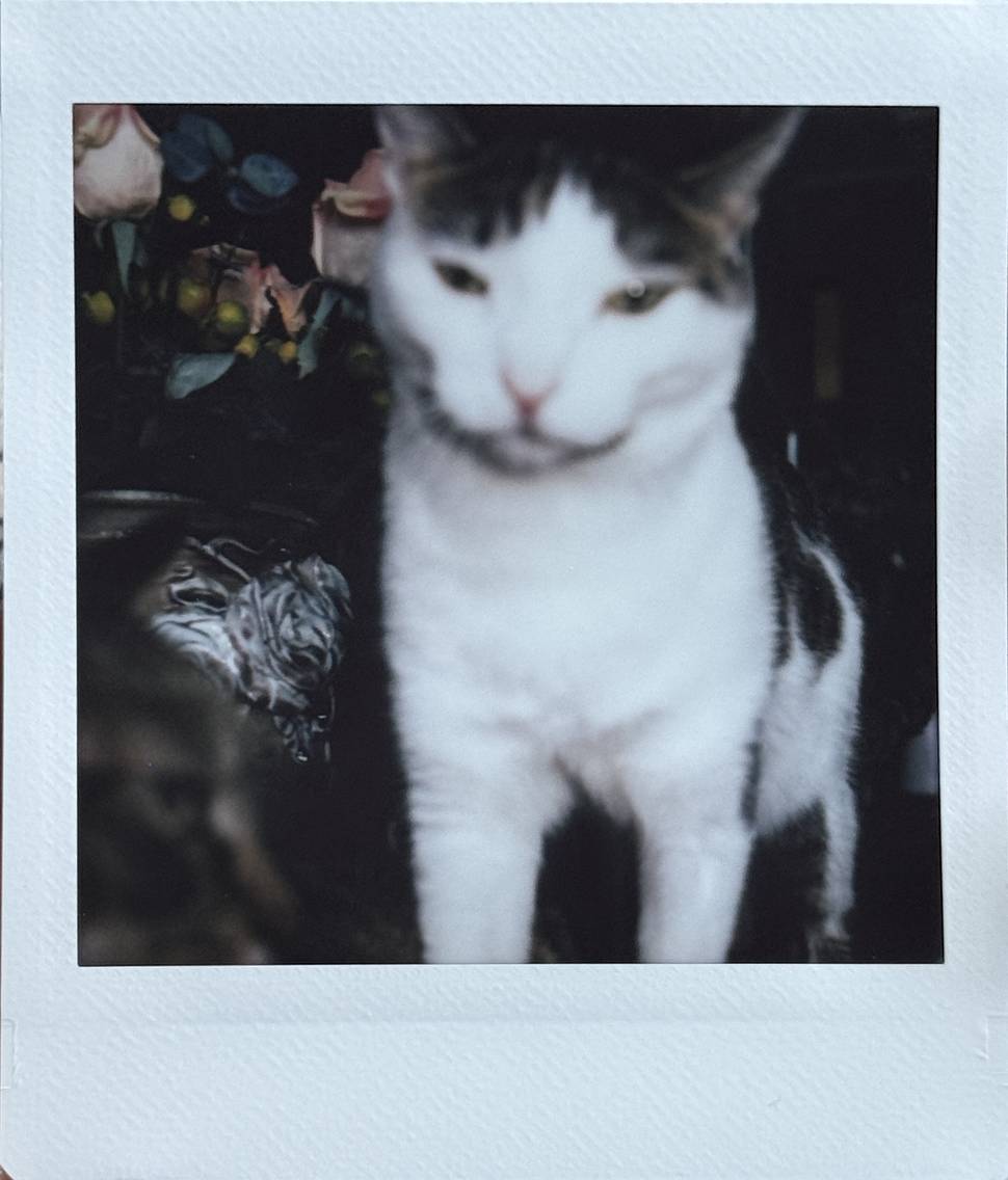© Jacinta Luo | 使用 Lomo'Instant Square 方形拍立得相机套装－红色 拍摄