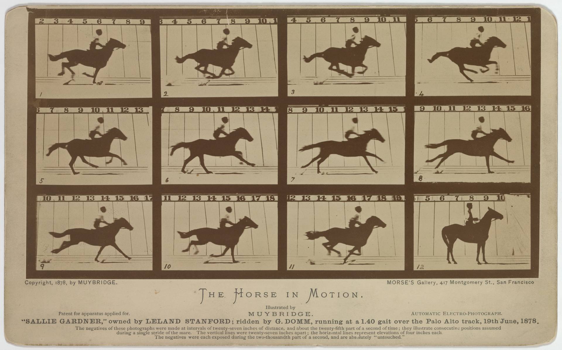 “埃德沃德·迈布里奇的《运动中的马》”：https://en.wikipedia.org/wiki/The_Horse_in_Motion#/media/File:Eadweard_Muybridge-Sallie_Gardner_1878.jpg（免费域名）