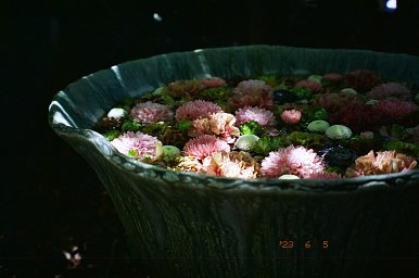 Camera: Canon Autoboy N105 · Lomography