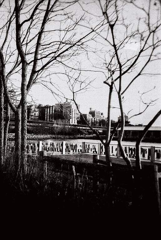 Photo credits: Lomography USA