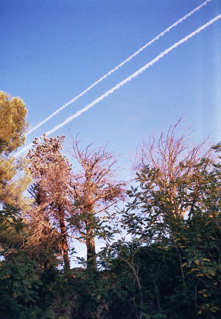 BELOMO Agat 18K: Tiny Russian Plastic Camera · Lomography