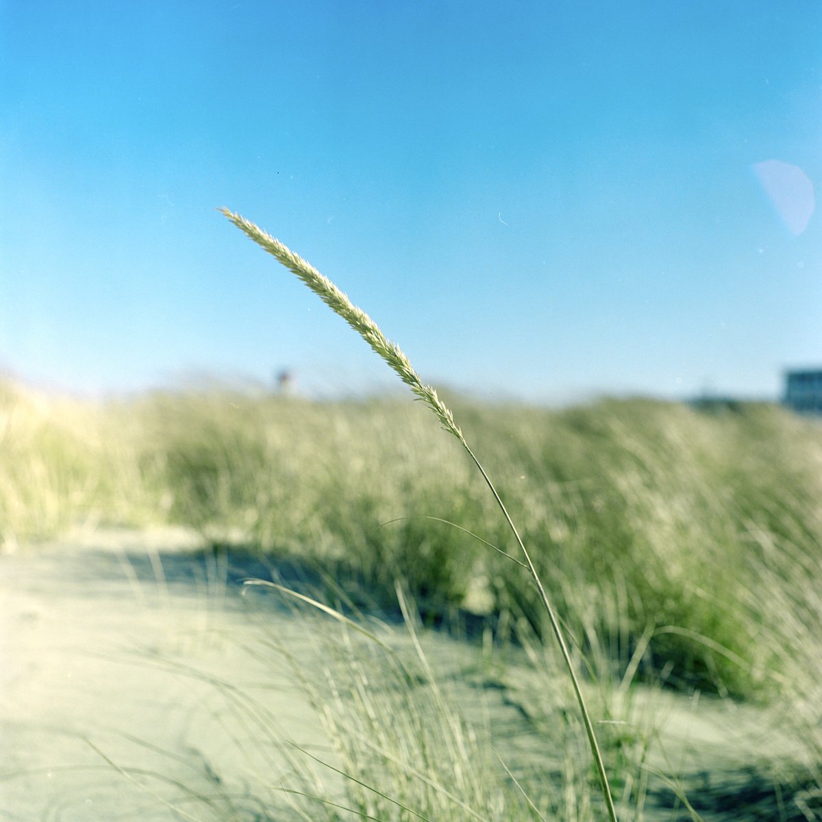 27214714-ikea-tank-lomography