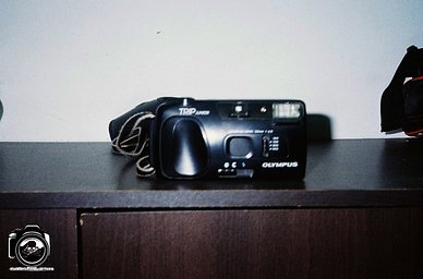 Film: Olympus Trip Junior · Lomography