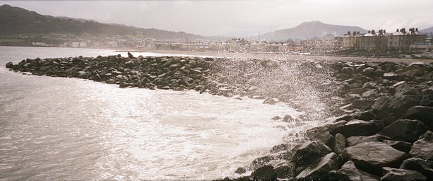 カメラ: Minolta Capios 20 · Lomography