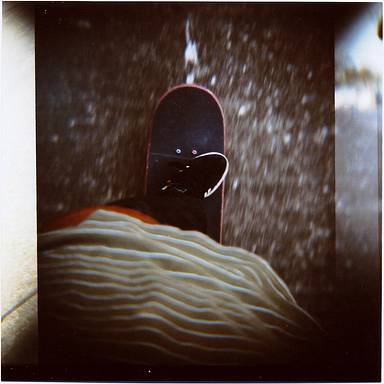 leicat