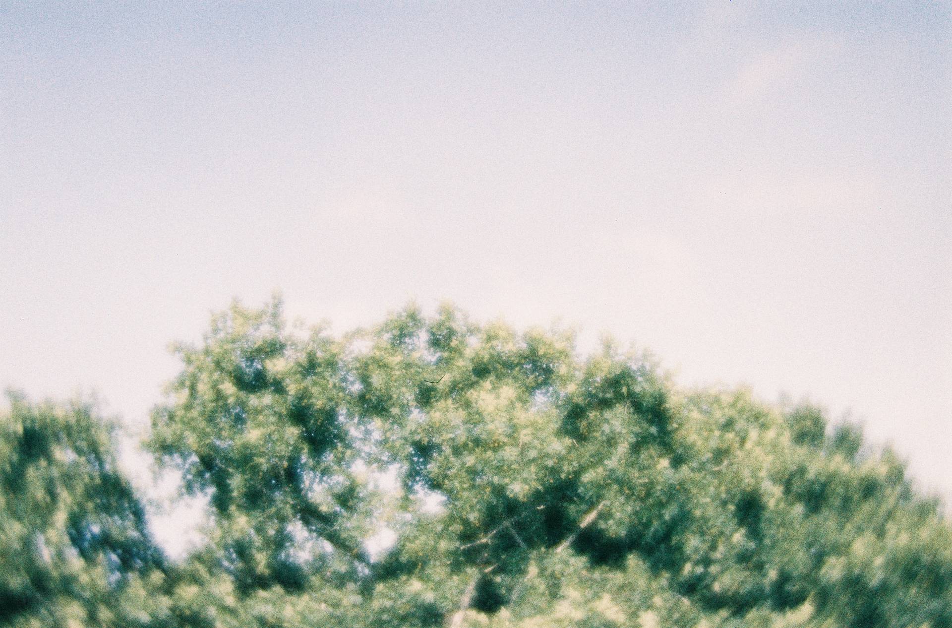 © Hemera | Lomography Daguerreotype Achromat 达盖尔柔焦艺术镜头