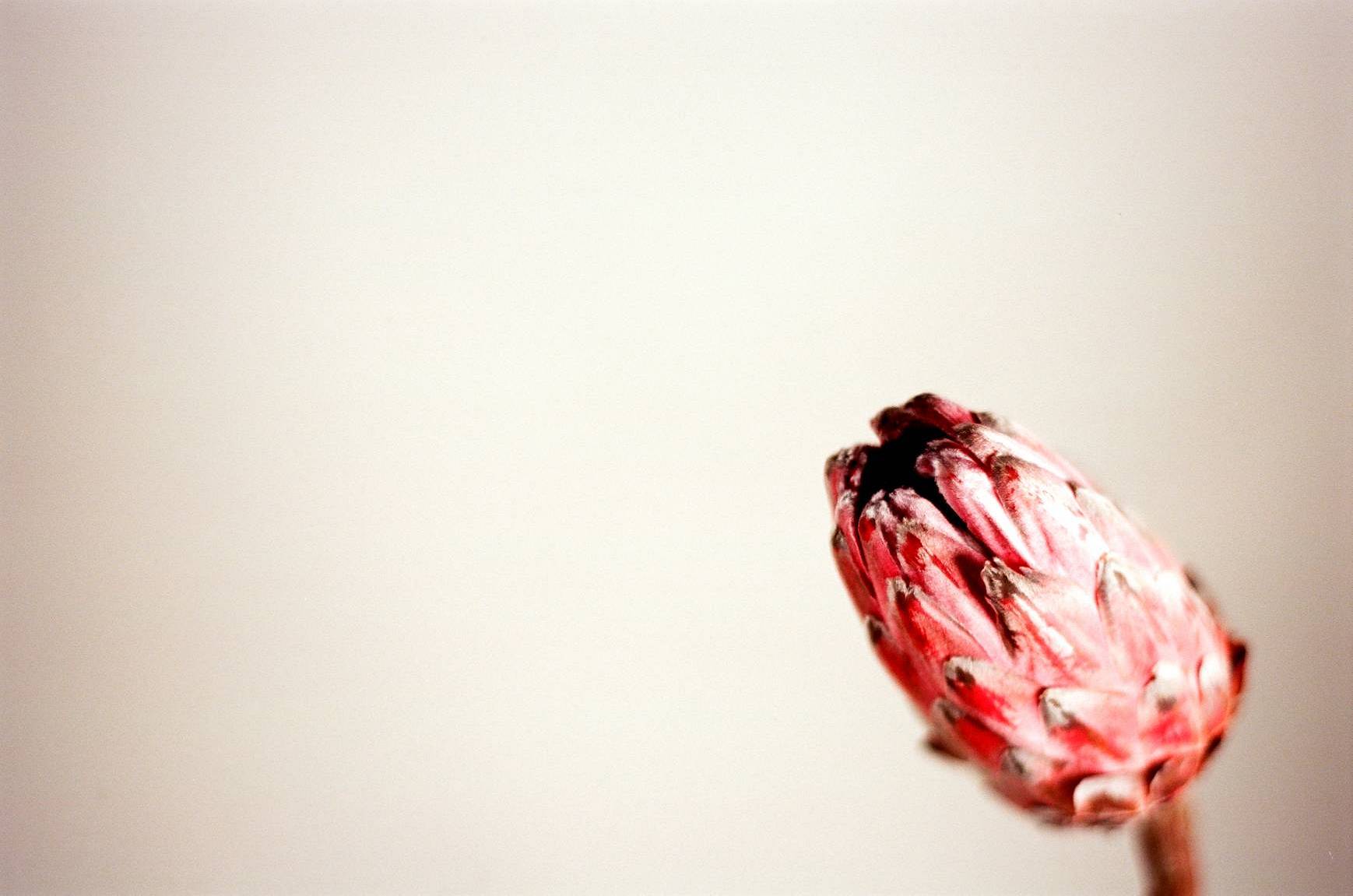 Photos by George Oeser