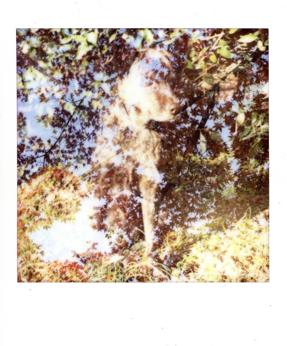 Sean 和 Tennbo Lotman 用 Lomo'Instant Square 方形拍立得相机 拍摄的照片