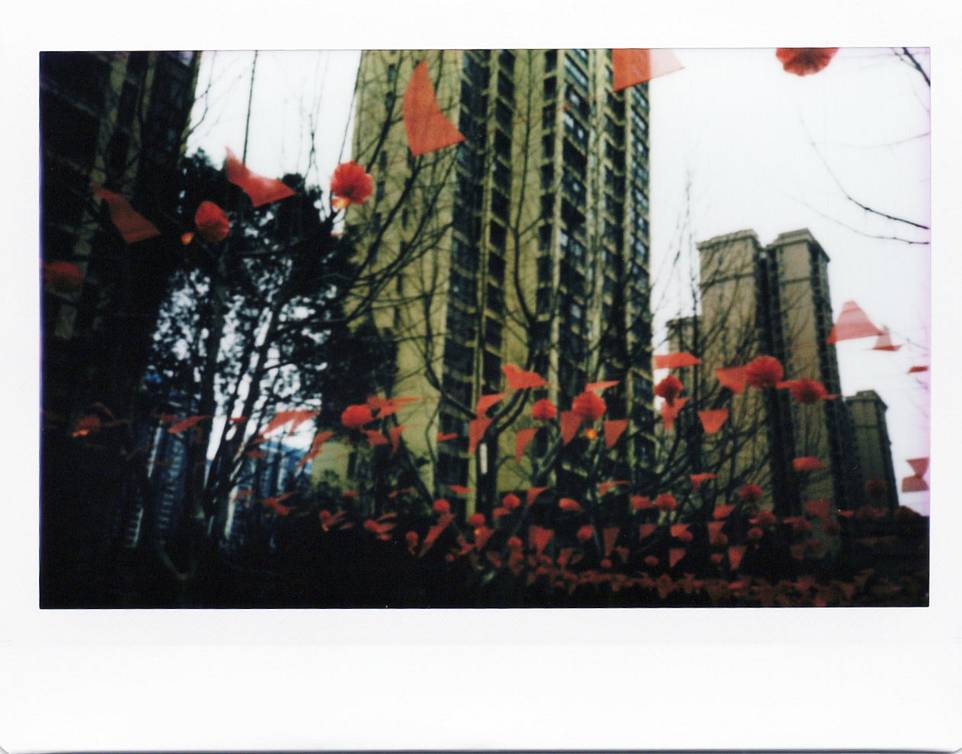 © 星星 | 使用 Lomo'Instant Wide Glass 宽幅玻璃镜头拍立得相机 拍摄