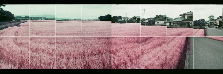 Camera: Fujifilm Rensha Cardia BYU-N 16 · Lomography