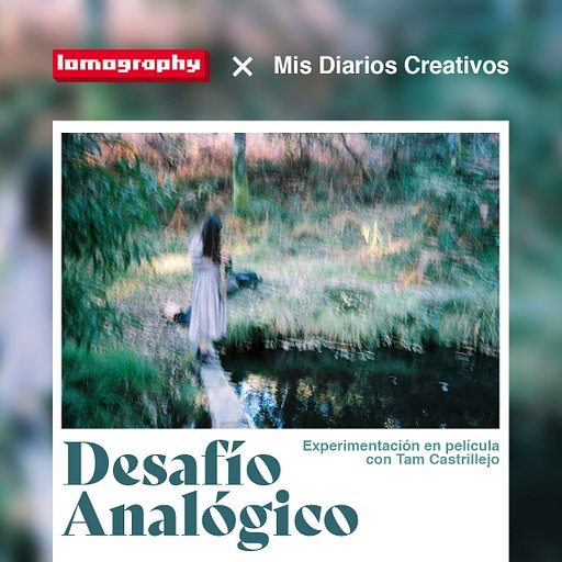 Desafío Analógico with Mis Diarios Creativos