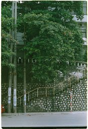 Film: Fuji super G ACE 400（过期12年） · Lomography