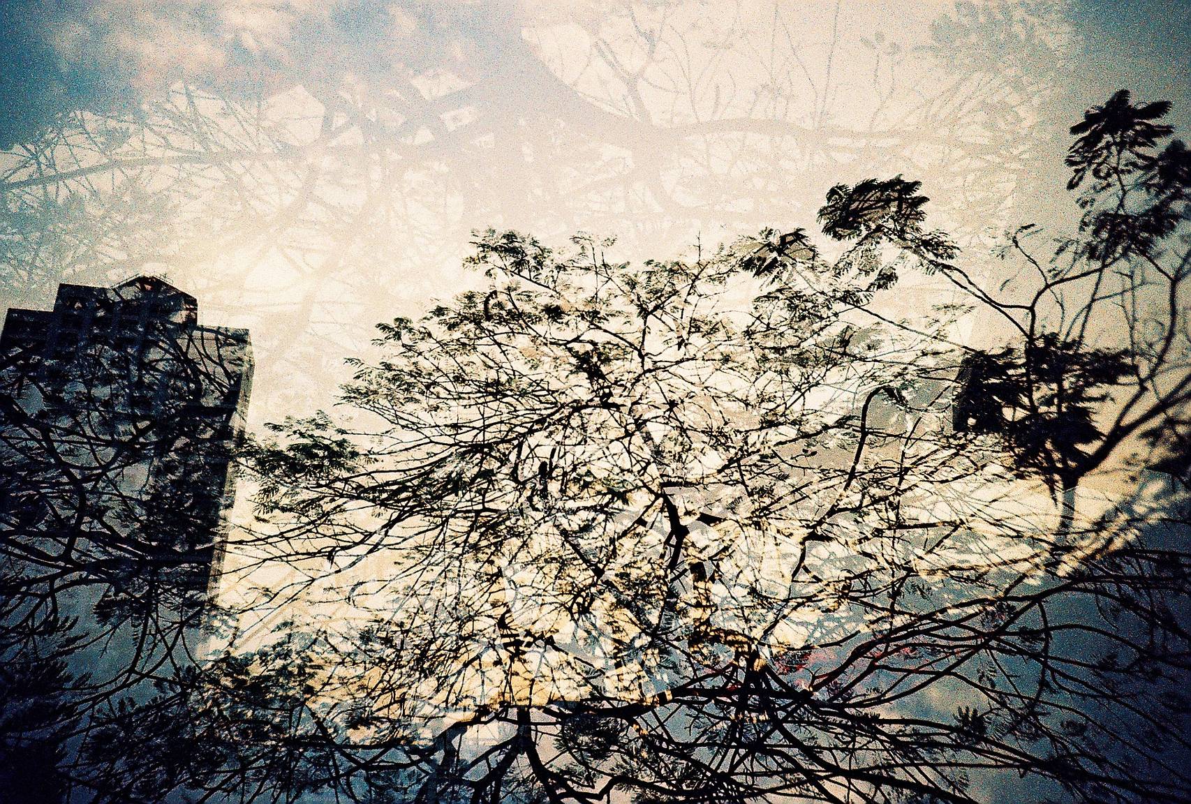 LOMO LC-A+と昼と夜も一緒に · Lomography