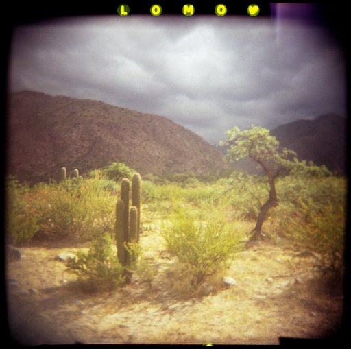 The Lomography XPro Slide 200 Film and My Holga: An In-Depth Review