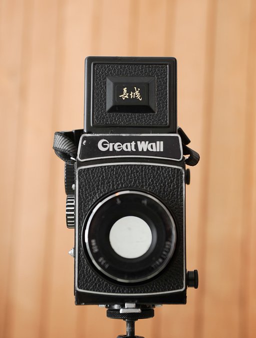 Rare and Funky: The Great Wall DF Camera, a True Lomo-Jewel