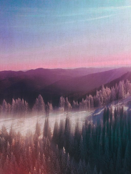 Musings from Self-isolation: Kasia Kozińska