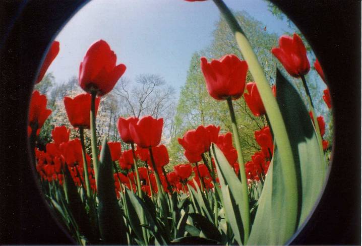 Photo by dooby, kleeblatt &amp; micboc