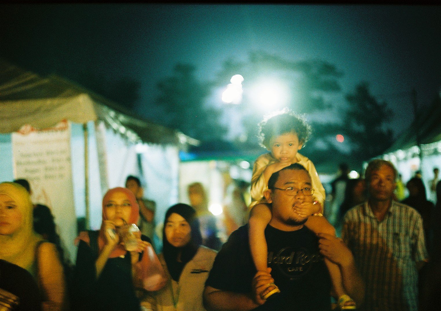 My Lovely Kodak Pro Image 100 · Lomography