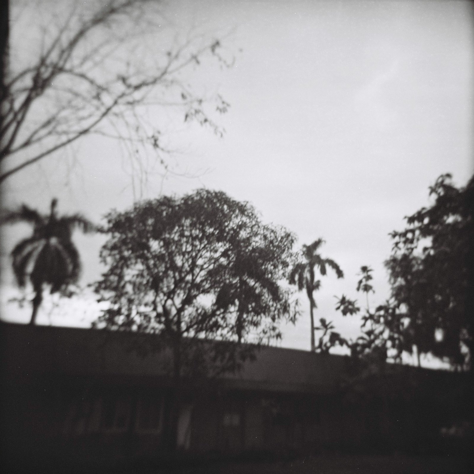Lomography