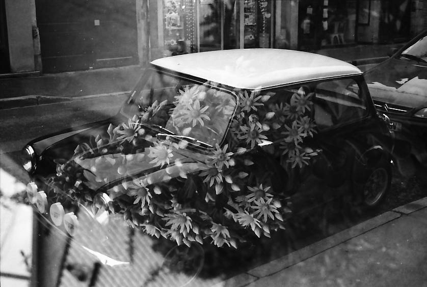 Photos by neufotomacher