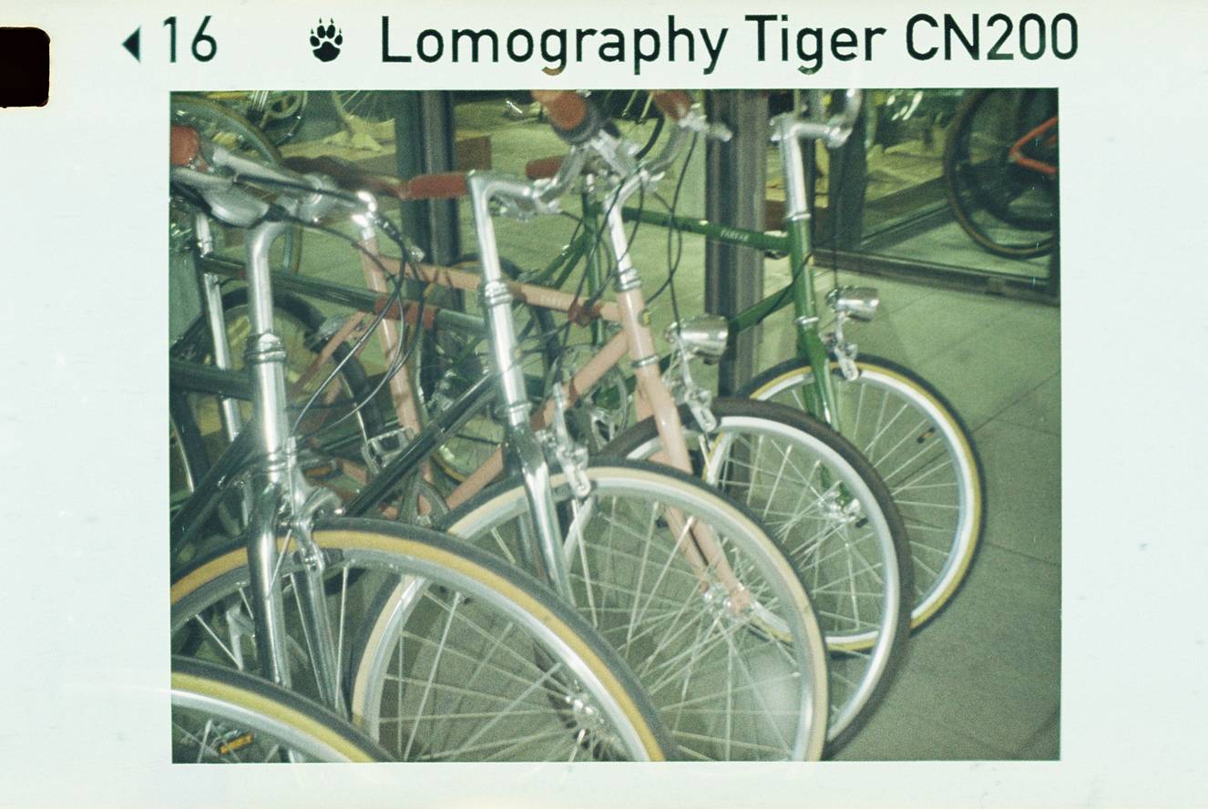 由 Moby 使用 Lomomatic 110 胶片相机和Lomography CN Tiger 110 负片胶卷拍摄