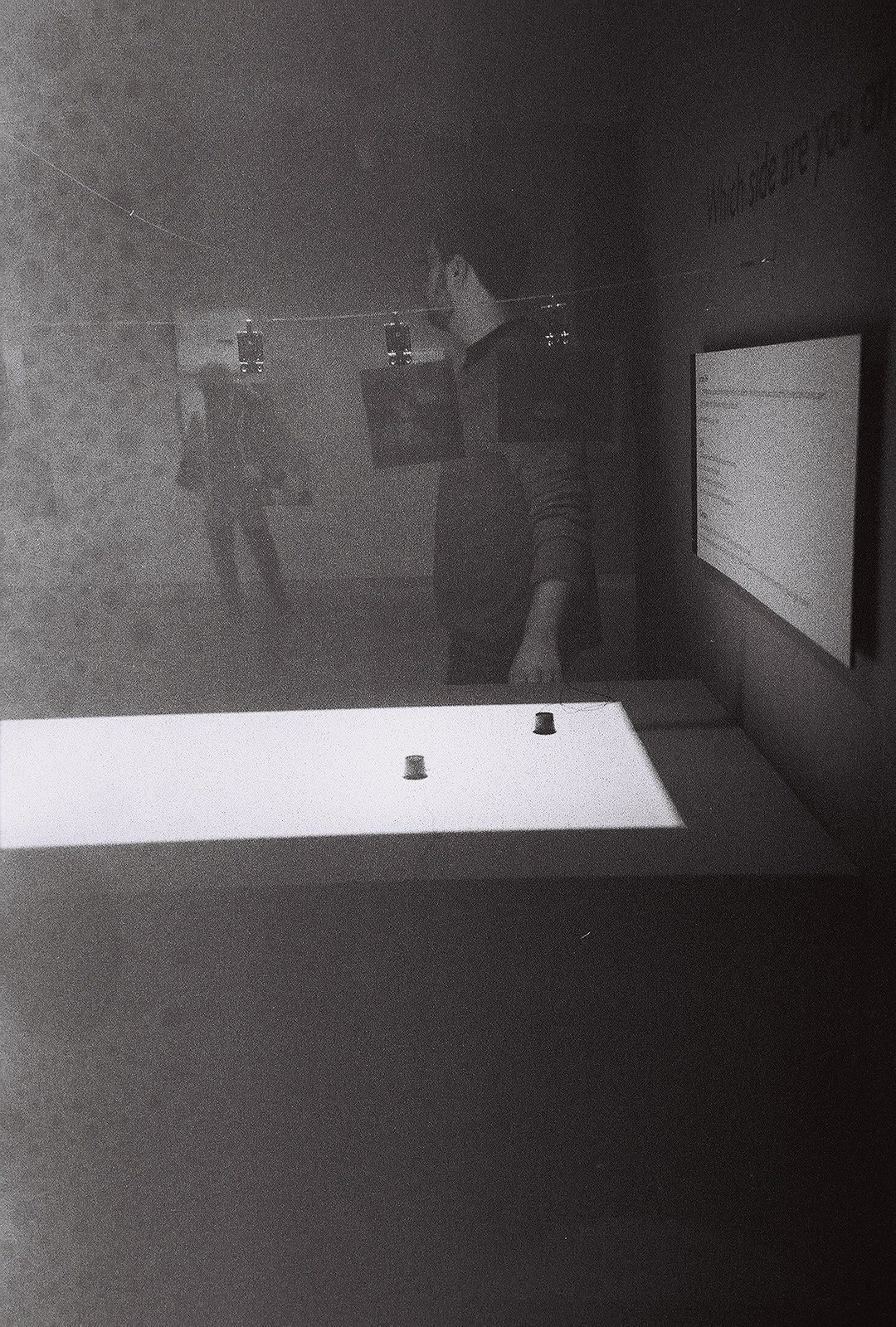 Purifying Photography: Group f/64 · Lomography