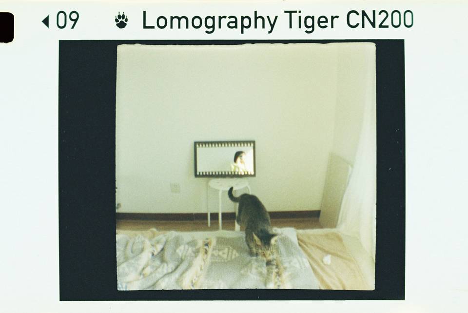 © 炉膛 | Diana Byby 110 胶片相机 &amp; Lomography Color Tiger 200 彩色负片