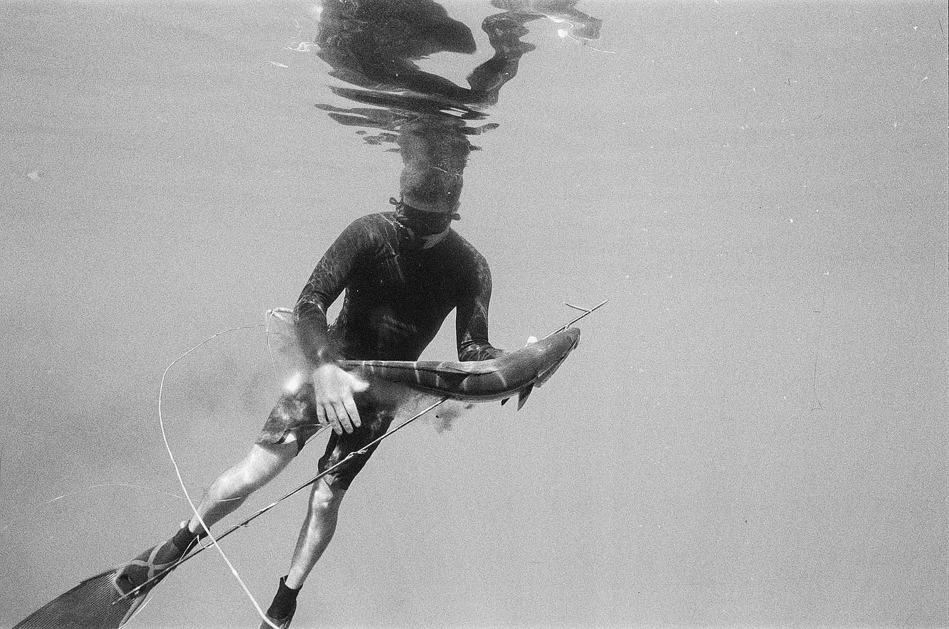Katharine Kollman 使用 Lomography B&amp;W ISO 400 Berlin Kino 135 柏林电影黑白胶卷 拍摄的照片