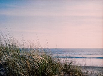 Camera: Mamiya 645 Super · Lomography