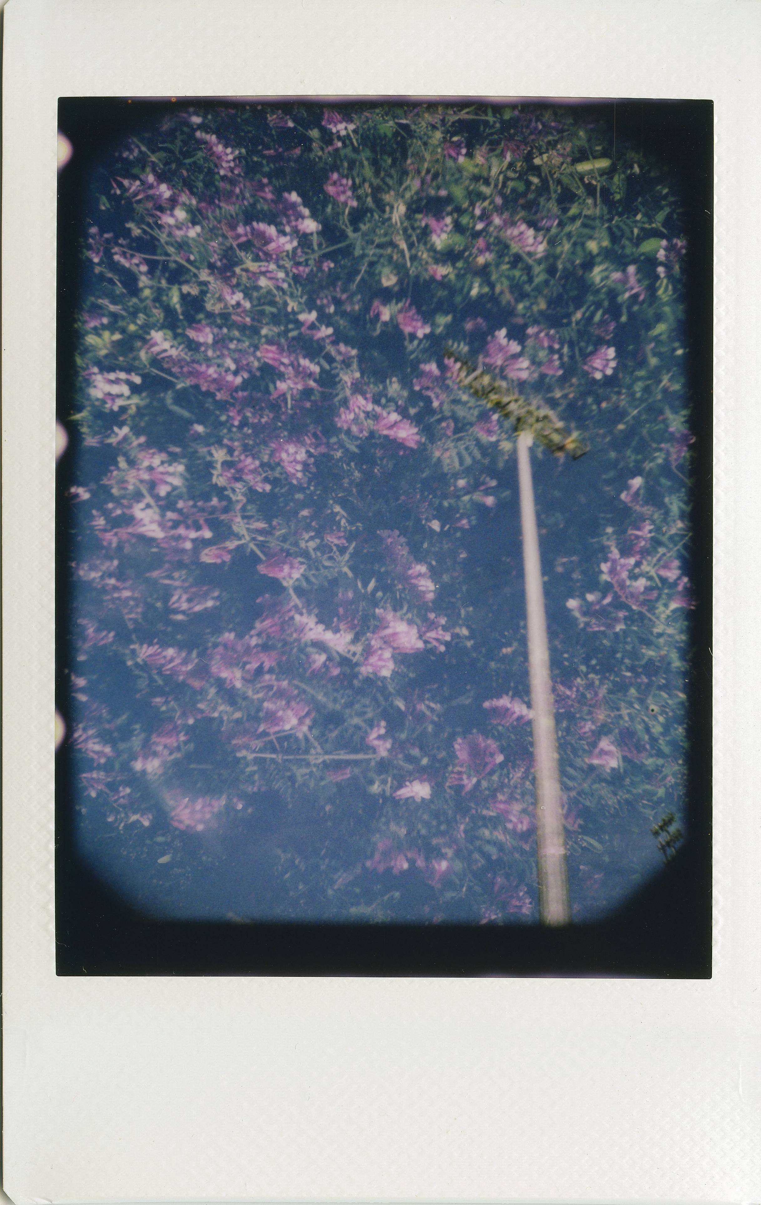 How to Use your Lomo LC-A+ Instant Back · Lomography