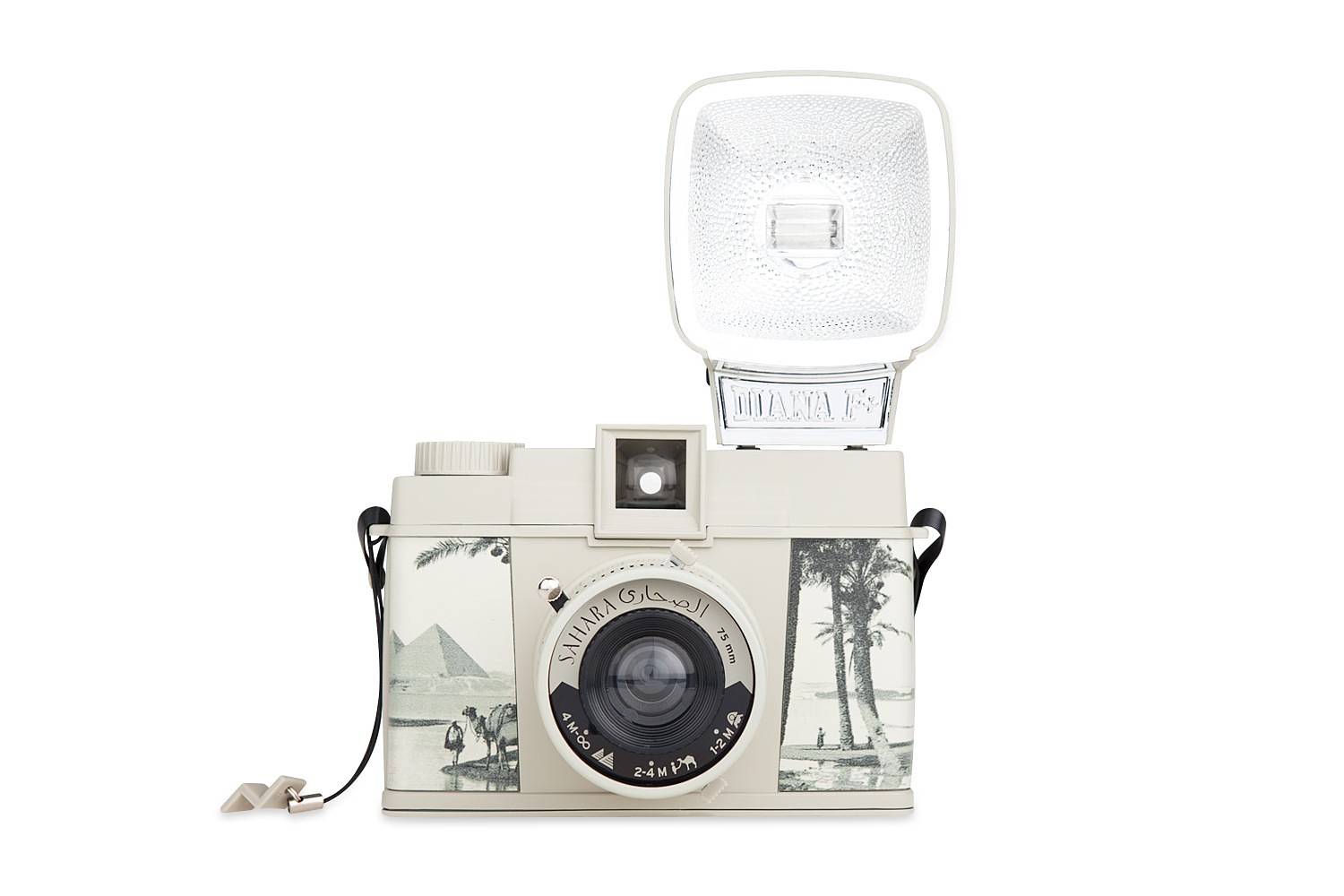 生誕10周年》Diana F+ が歩んできた10年 · Lomography