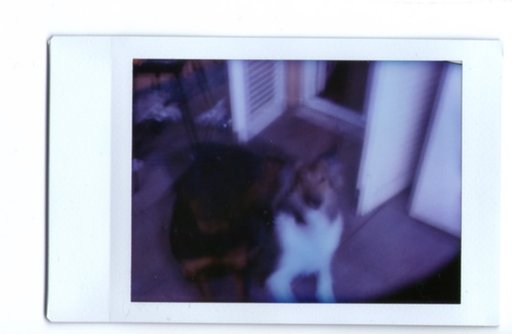 Pinhole Passion: Instant Pinhole Camera in a Cigarette Pack