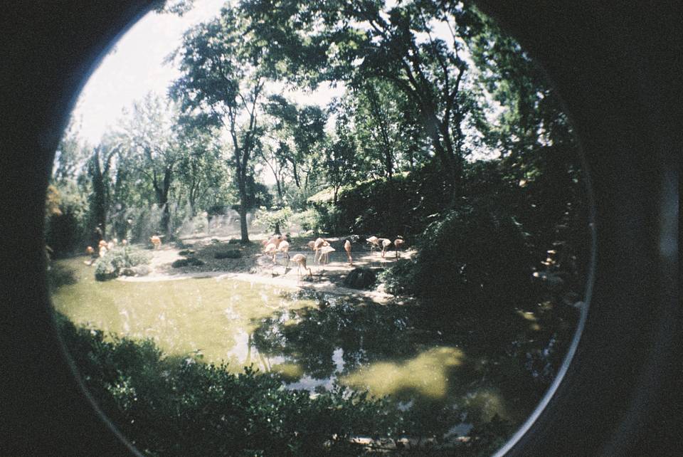 Fisheye No.2 135 第二代鱼眼胶片相机 + LomoChrome Color '92 ISO 400 135 彩色负片