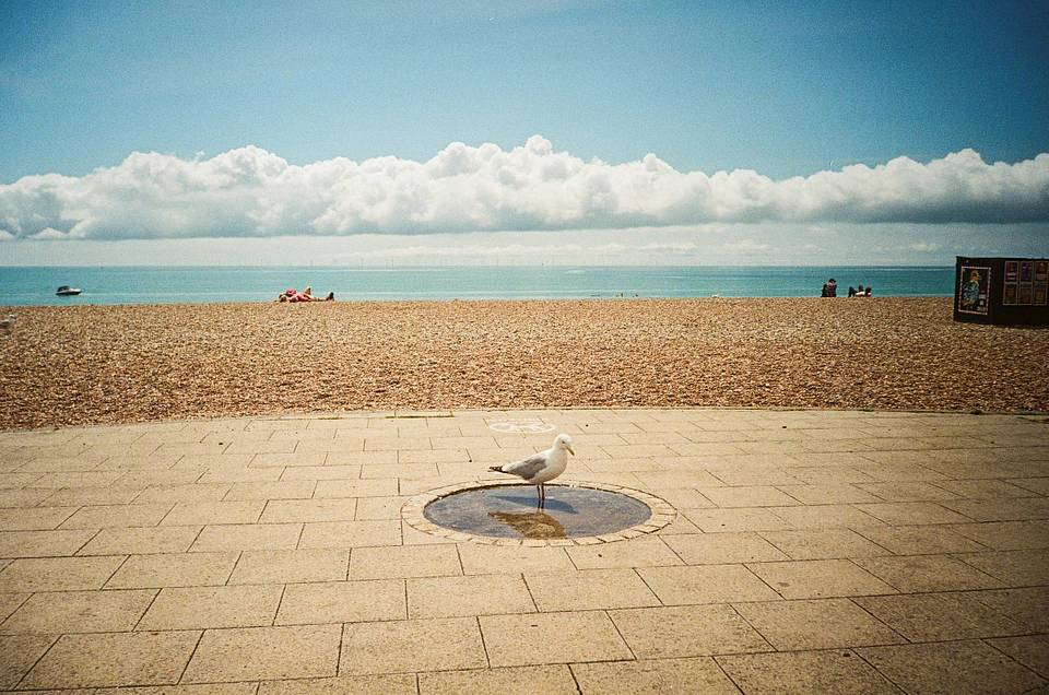 Photos by Anil Mistry