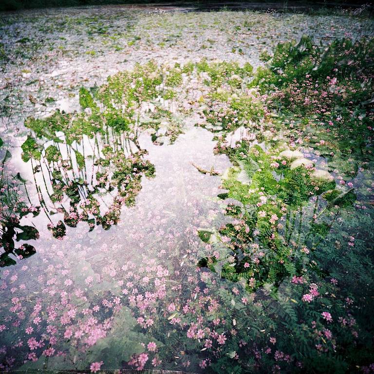 © fleurthesmar
