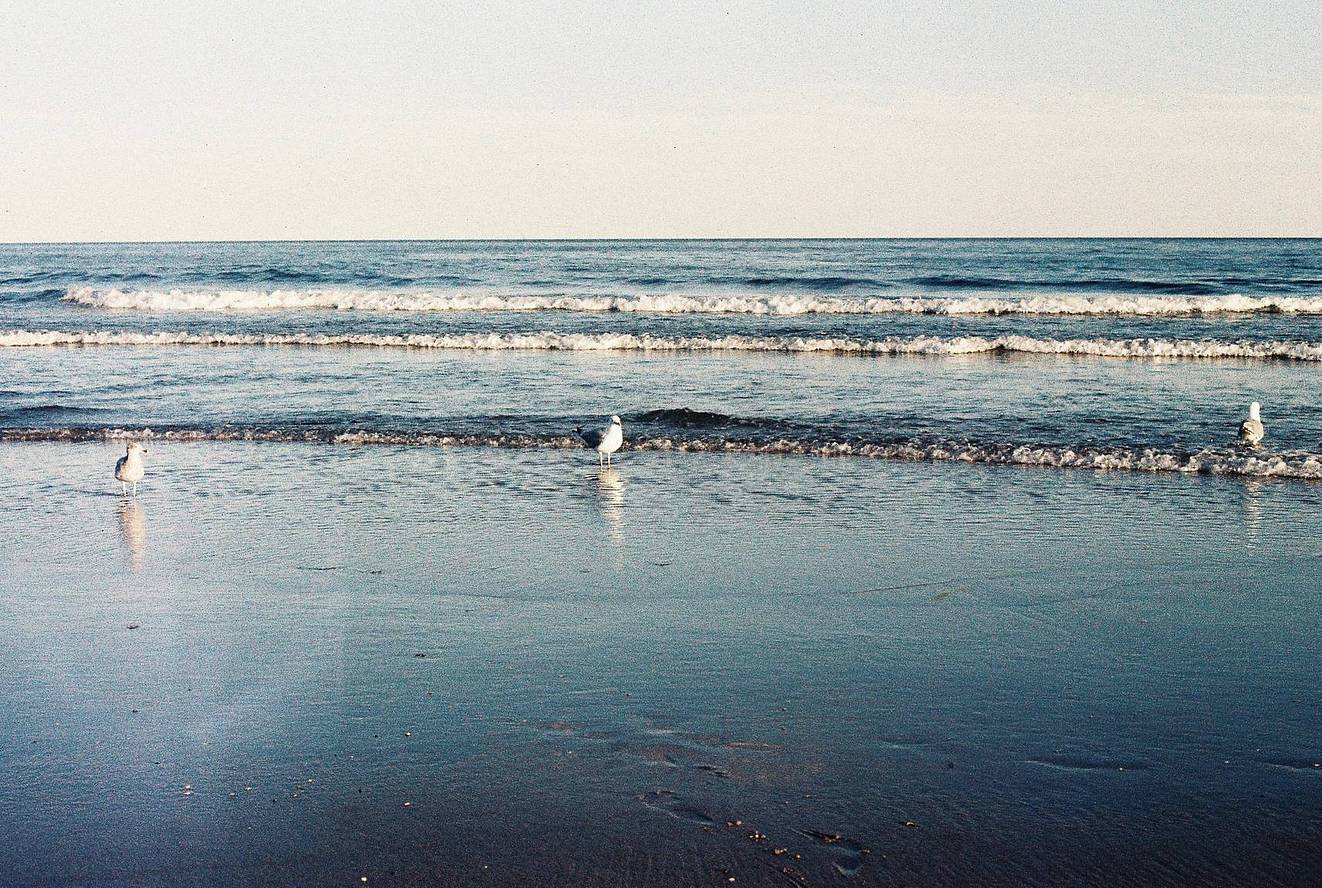 Photo by Erica Reade , 用 LomoChrome Classicolor ISO 200 135 经典版彩色负片 拍摄
