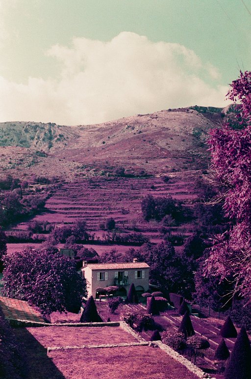 A French Escapade in Lomochrome Purple With Alexander Durie