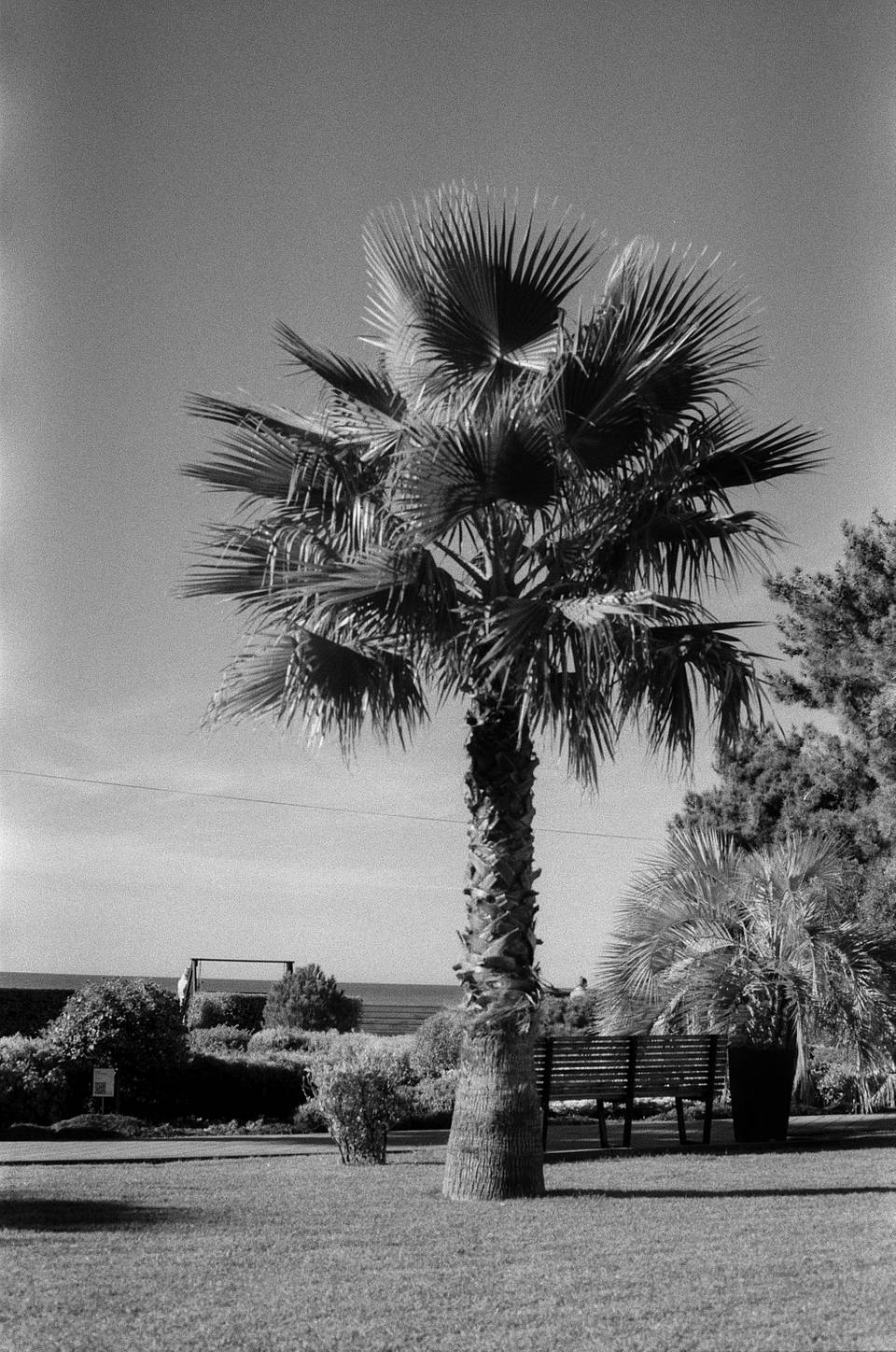 Photos by aciano | Shot with blue, green, IR, and red filters