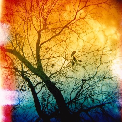 How to Make Your Own Color Filters at Home