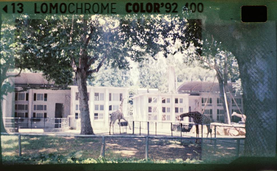 Lomomatic 110 自动玻璃镜头胶片相机连闪光灯 + LomoChrome Color '92 ISO 400 110 彩色负片
