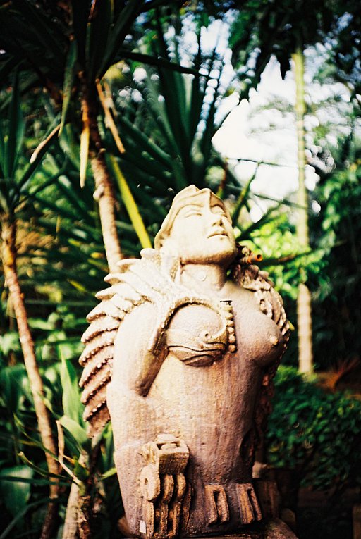 A Favorite to Cross-Process: Kodak Ektachrome E100G