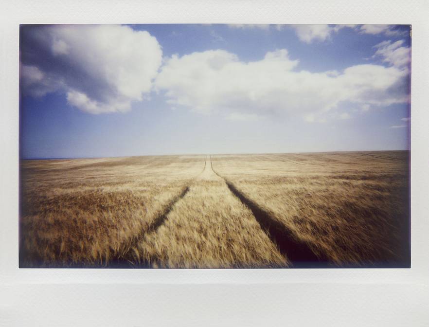 Photo by ghuebner, anthonystone, and dorotheesorin