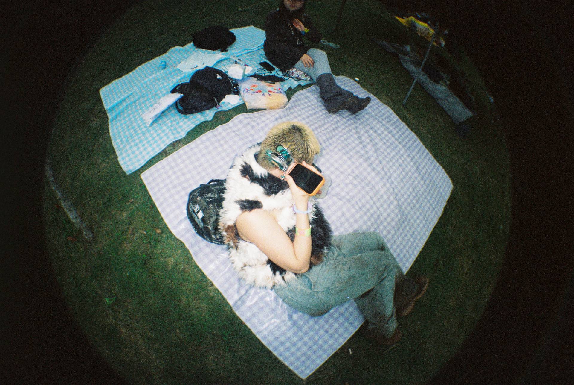 © 饼干， 春游音乐节 | 使用 Fisheye No.2 135 第二代鱼眼胶片相机 &amp; Lomography Color Negative ISO 800 135 彩色负片胶卷 拍摄