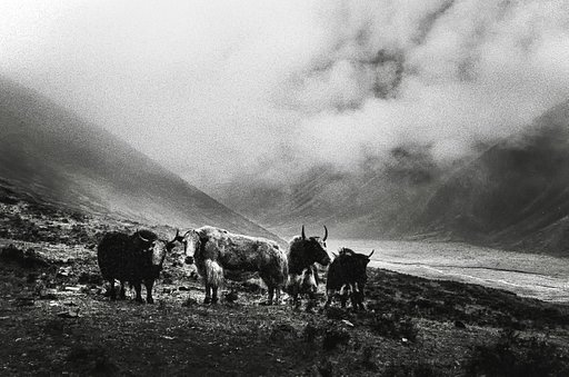 【Lomography ISO 100 彩色負片】攝影師 Paul 的 Lomography 底片初體驗:努力保持原創