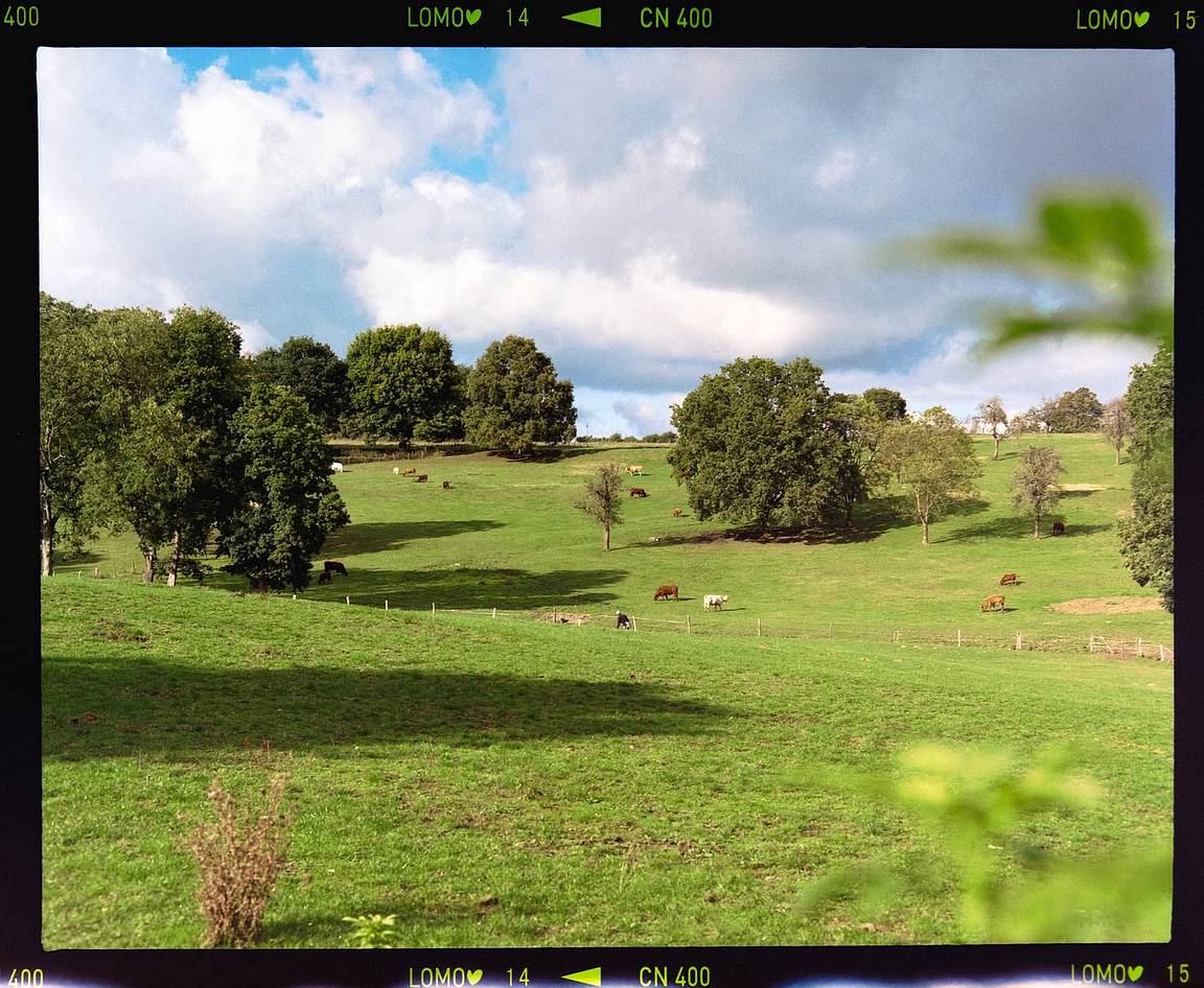 Lomography Color Negative ISO 400 120 彩色负片胶卷 由 Benjamin Arias 使用  DigitaLIZA+ 第二代胶片扫描匣 进行带边框数字化扫描；LomoChrome Classicolor ISO 200 110 经典版彩色负片 同样以带边框方式扫描。