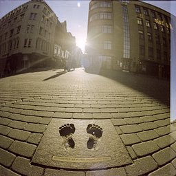 Lens: Zodiak-8 30mm/3.5 · Lomography